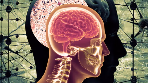 Latest Research on Link Between Diabetes and Alzheimer’s Disease