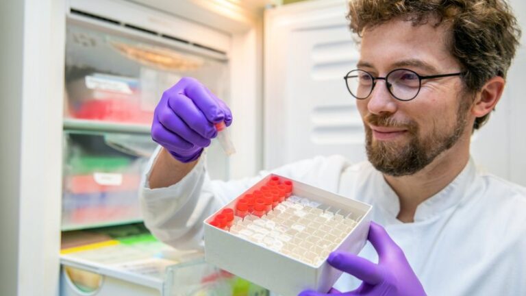 New Discoveries in the Prevention of Autoimmune Liver Disease