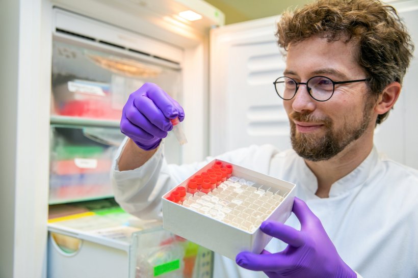 New Discoveries in the Prevention of Autoimmune Liver Disease